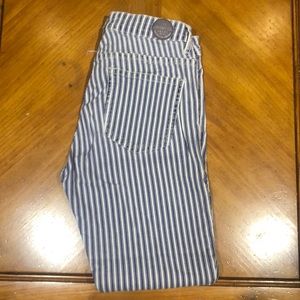 Zara Pinstripe Pants